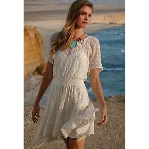 Leifnotes Womens Ivory Sheer Lace Dress Smocked‎ Waist Sequins Dot Size 2 - Picture 2 of 14